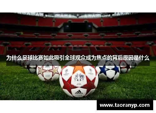 为什么足球比赛如此吸引全球观众成为焦点的背后原因是什么