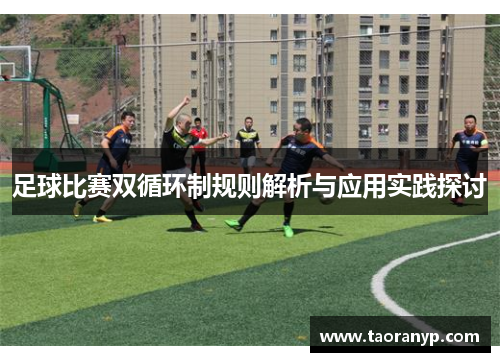 足球比赛双循环制规则解析与应用实践探讨